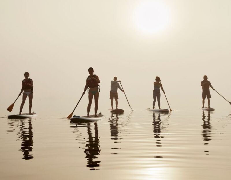 Portland, ME: Guided Harbor Paddleboard Tour - Experience Highlights