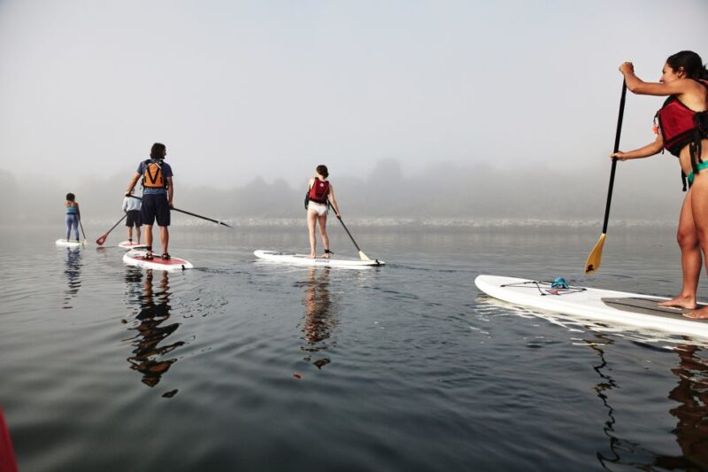 Portland, ME: Guided Harbor Paddleboard Tour - Inclusions