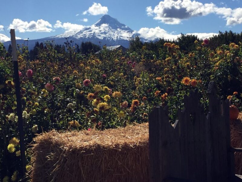 Portland: Mount Hood Wine and Waterfalls Full-Day Tour - Inclusions