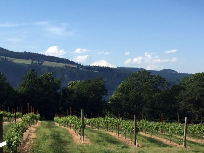 Portland: Mount Hood Wine and Waterfalls Full-Day Tour - Outdoor Adventures