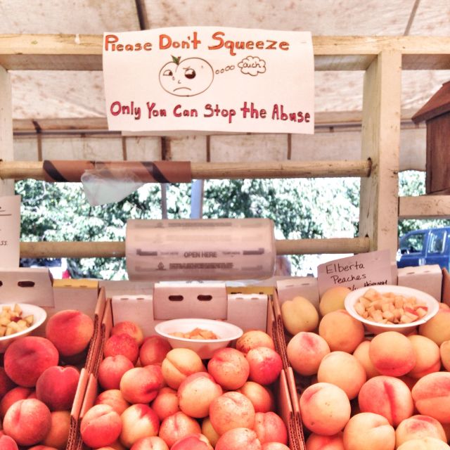 Portland: Multnomah Falls and Hood River Day Trip With Train - Winery Tasting Experience