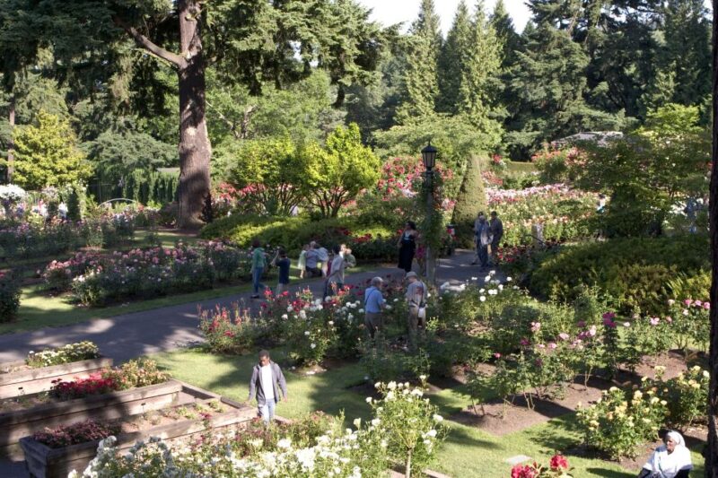 Portland, Oregon: Pink Trolley Hop-On Hop-Off Tour - Booking Information