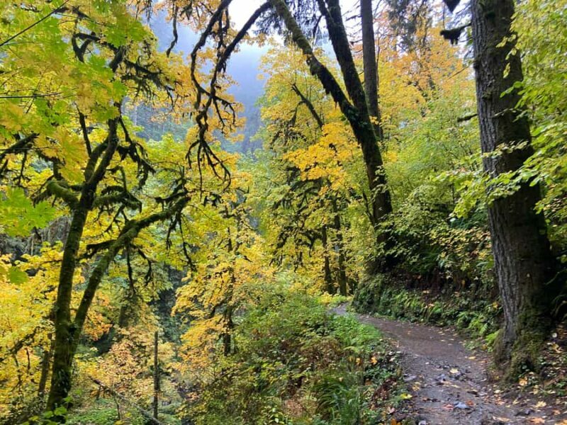 Portland Oregon: Silver Falls State Park Waterfall Hike - Portland Oregon: Silver Falls State Park Waterfall Hike – A Detailed Review