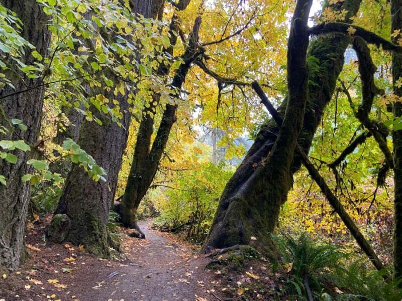 Portland Oregon: Silver Falls State Park Waterfall Hike - Final Thoughts