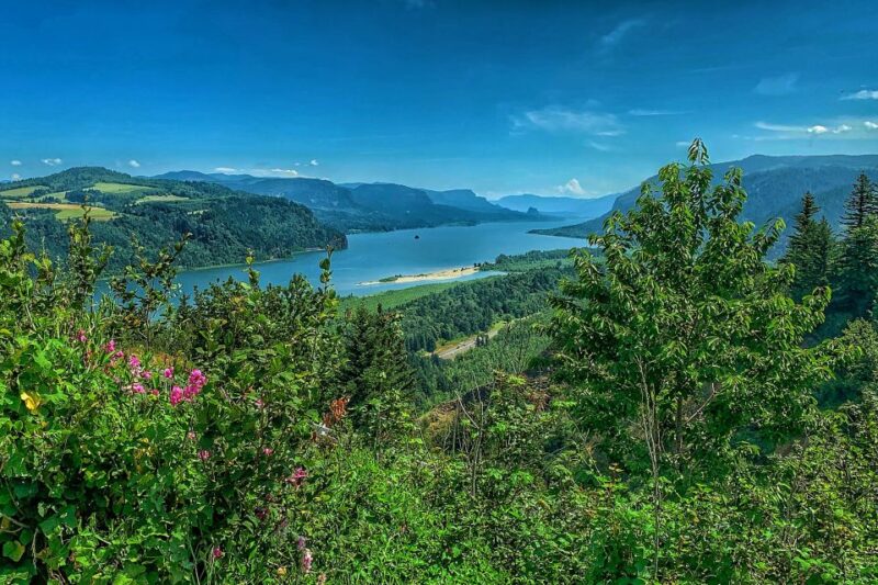 Portland: Sightseeing Tour With Columbia Gorge Waterfalls - Key Points