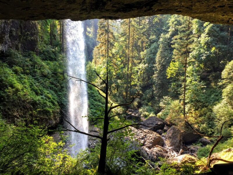 Portland: Silver Falls Hike - Key Points