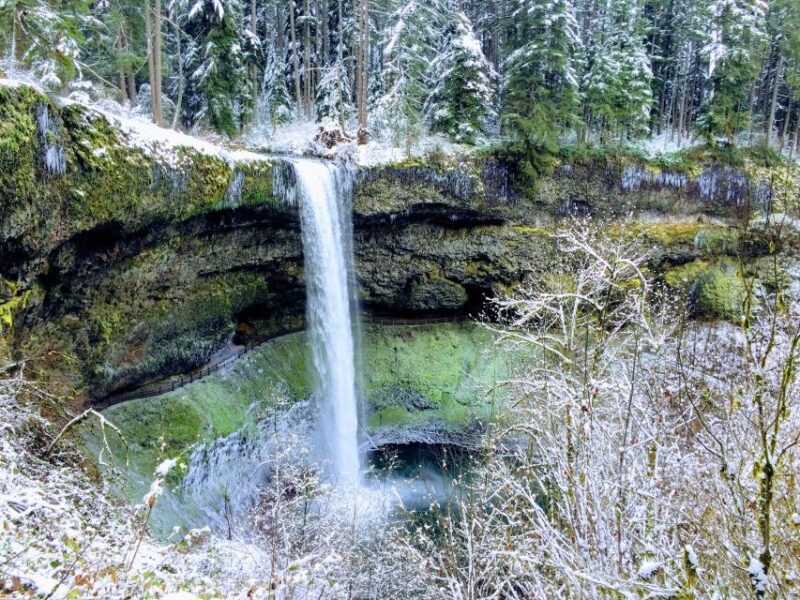 Portland: Silver Falls Hike - Pricing and Inclusions