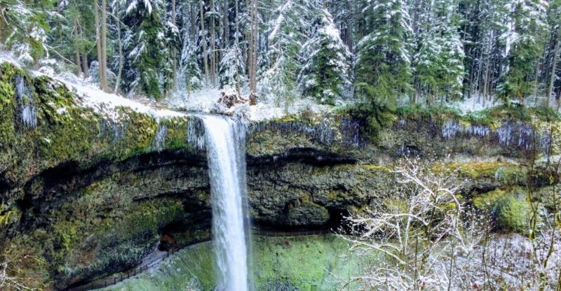 Portland: Silver Falls Hike - Experience Highlights