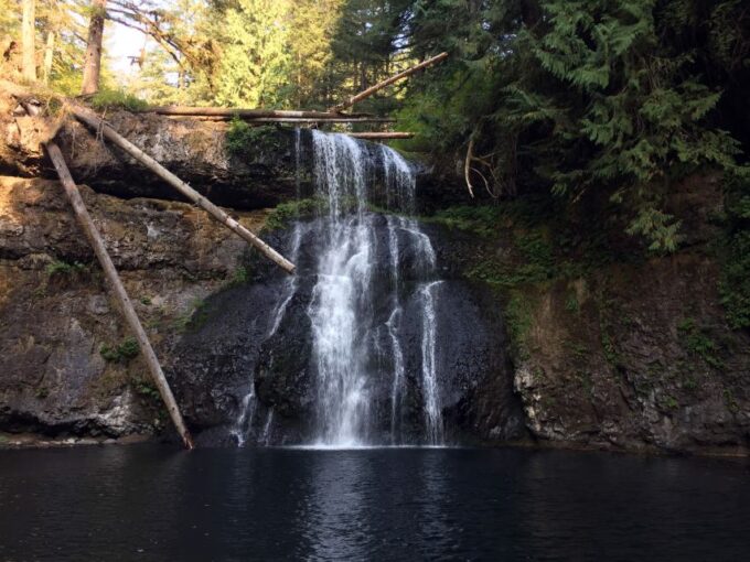 Portland: Silver Falls Hike - Customer Feedback and Ratings