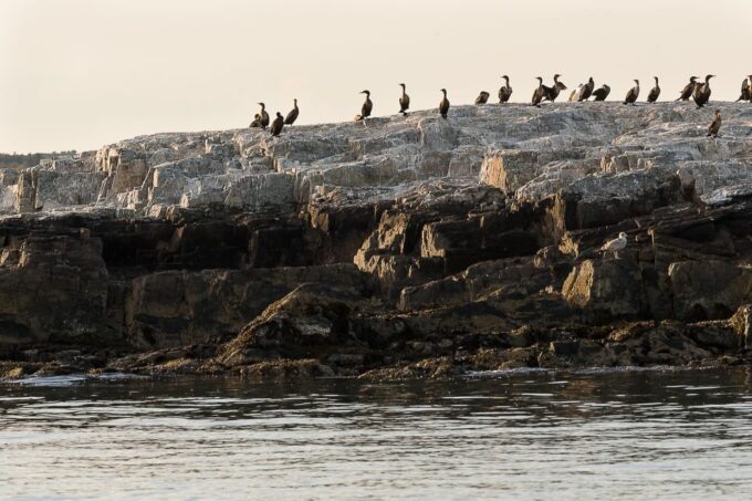 Portland: Sunset Lighthouse Cruise in Casco Bay With Drinks - Frequently Asked Questions