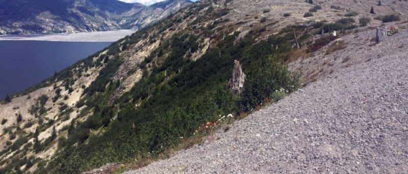 Portland: The Mt. St. Helens Adventure Tour - Itinerary Highlights