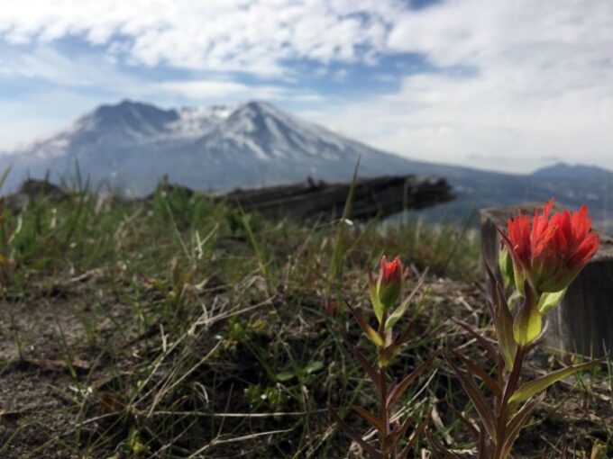 Portland: The Mt. St. Helens Adventure Tour - Cancellation and Payment Options