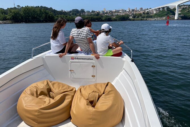 Porto: 2h Private Tour (1 to 6 People) on the Douro River With a Local - Accessibility and Additional Info