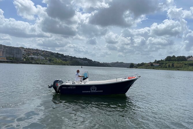 Porto: 2h Private Tour (1 to 6 People) on the Douro River With a Local - Engaging Local Guides