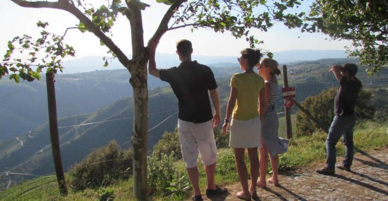 Porto: 3 Douro Valley Vineyards Tour With Lunch - Key Points