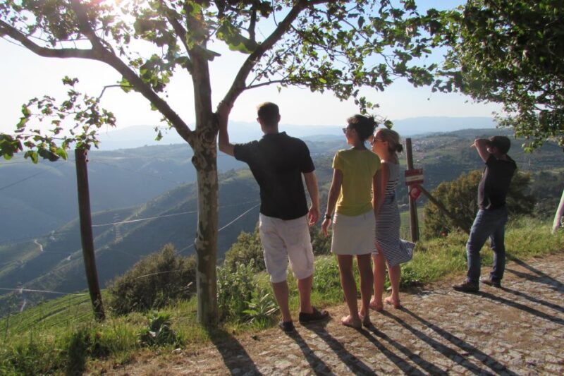 Porto: 3 Douro Valley Vineyards Tour With Lunch - Itinerary