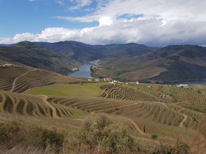 Porto: 3 Douro Valley Vineyards Tour With Lunch - Scenic Drive and Views