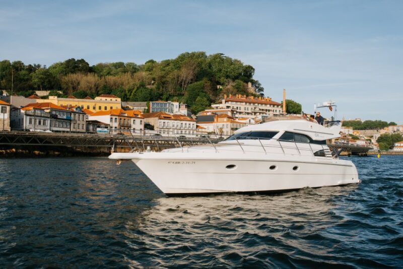 Porto: 3 Hour Douro River Cruise - Cruise Experience