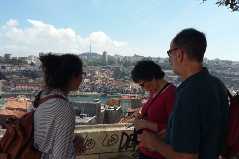 Porto: 3-Hour Downtown Walking Tour - Exploring Shopping Areas and Local Cafés