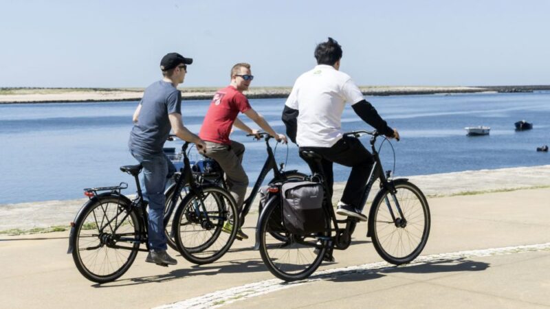 Porto: 3-Hour Electric Bike Tour - Experience Details