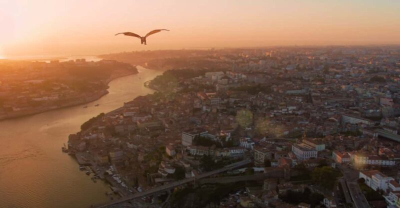 Porto: 5D Flight Over the City for the Whole Family. - Key Points