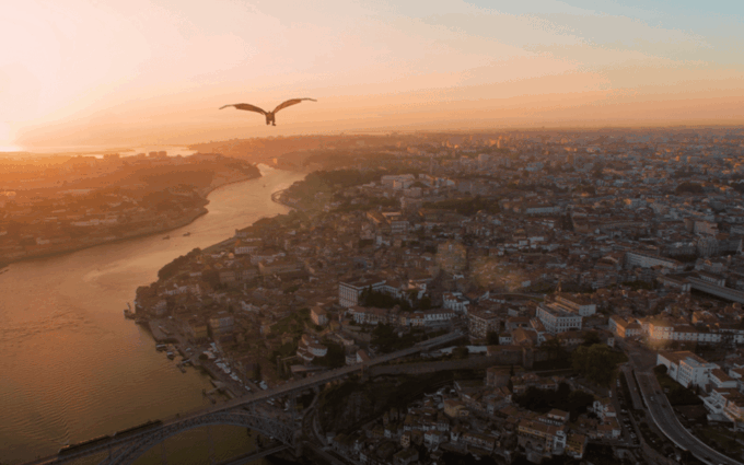 Porto: 5D Flight Over the City for the Whole Family. - What to Expect on the Ride