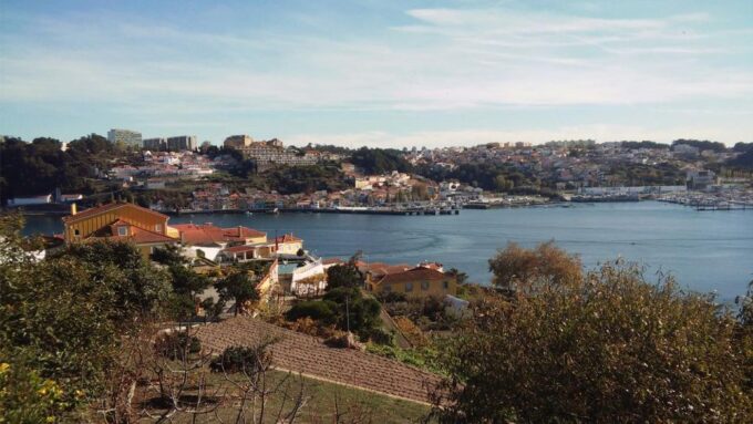Porto: a Ride Along the Coast in a Fun Eco-Friendly Car - Customer Feedback