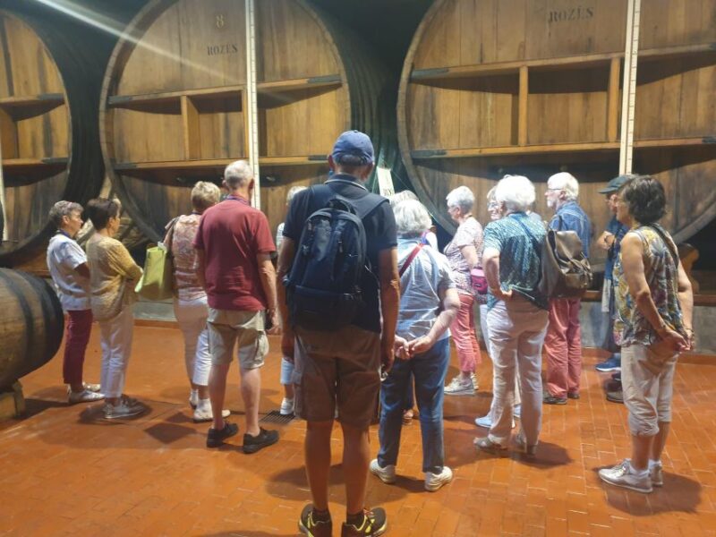 PORTO AT YOUR FEET-100% PRIVATE FULL DAY TOUR - São Bento Train Station