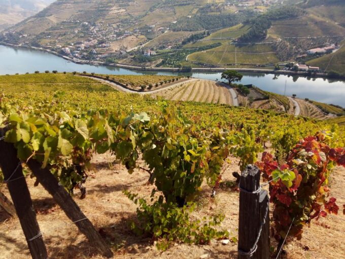 Porto: Authentic Private Douro Valley Tour - Frequently Asked Questions