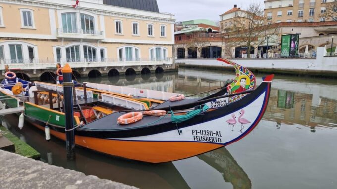 Porto: Aveiro & Coimbra Private Tour, With Bairrada Lunch - Inclusions and Feedback
