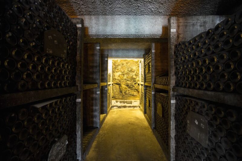 Porto: Burmester Cellar Tour With Tasting & Pairing Options - Participant Information