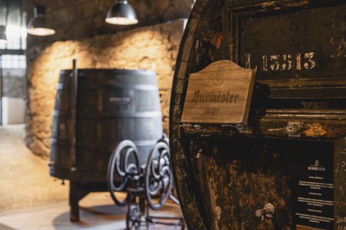 Porto: Burmester Cellar Tour With Tasting & Pairing Options - Tasting Options