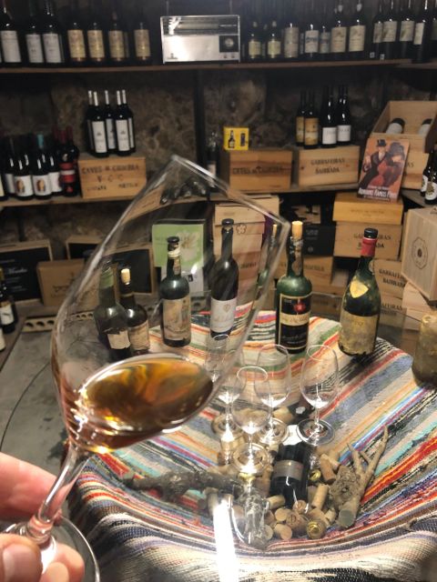 Porto: Cheese and Port Wine Tasting in a Unique Place - Key Points