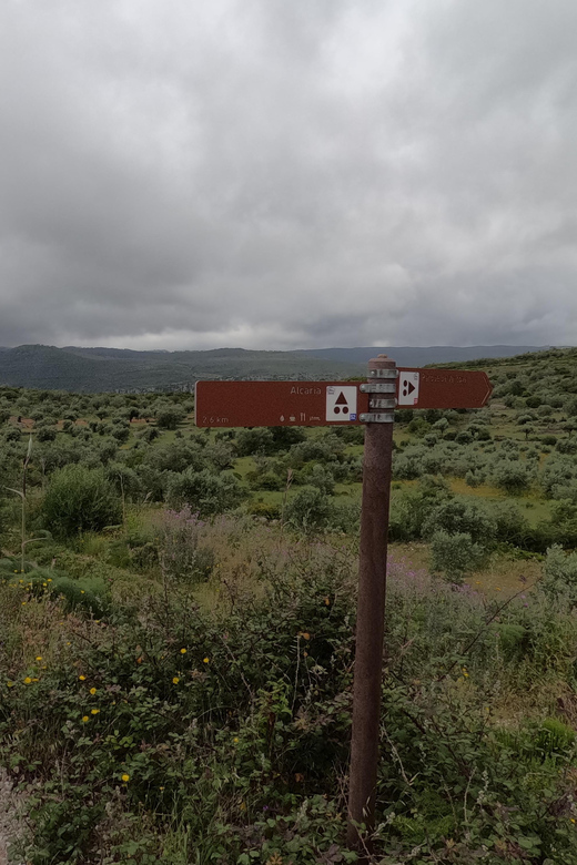 Porto De Mós: E-Bike Tour Green Park - Key Points