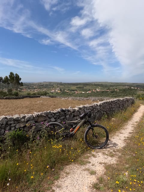 Porto De Mós: E-Bike Tour Green Park - Itinerary and Experience
