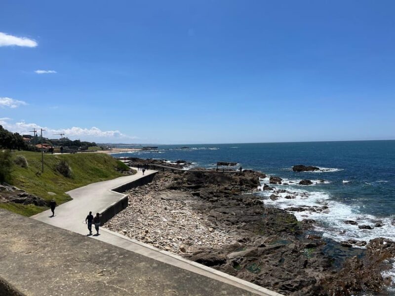 Porto: Discover Foz and Matosinhos - Customer Reviews