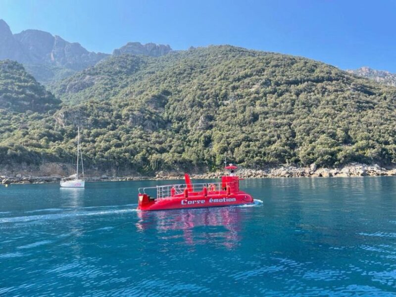 Porto: Discovery of the Marine Fauna and Flora/Bay of Porto - Key Points