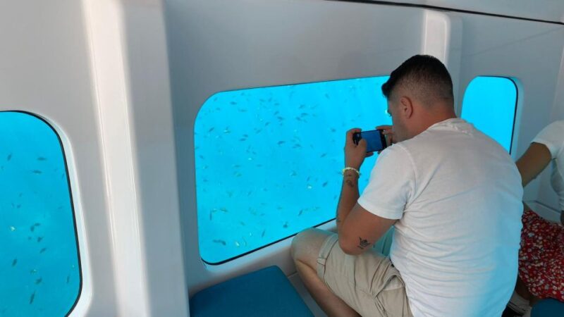 Porto: Discovery of the Marine Fauna and Flora/Bay of Porto - Audio Guide for Foreigners