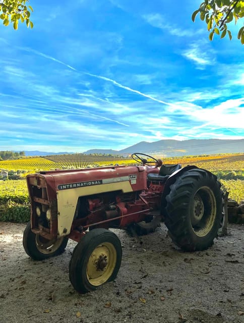Porto: Douro Valley 2 Estates + Wine Tasting - Key Points