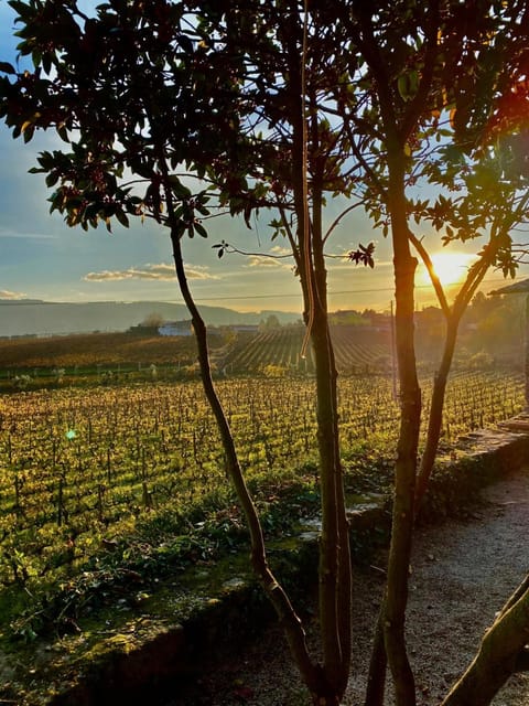 Porto: Douro Valley 2 Estates + Wine Tasting - Cancellation Policy