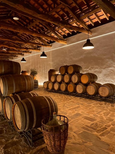 Porto: Douro Valley 2 Estates + Wine Tasting - Recap
