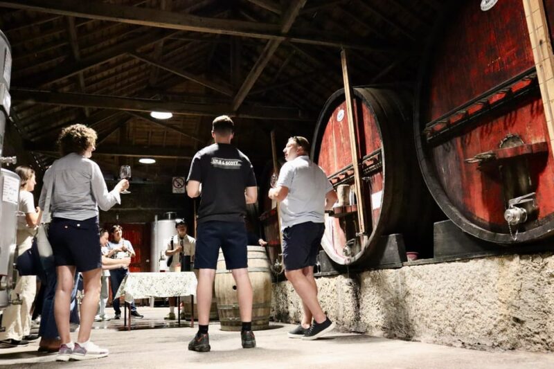 Porto: Douro Valley, 2 Wineries, Lunch & Private Boat Trip - Tour Overview