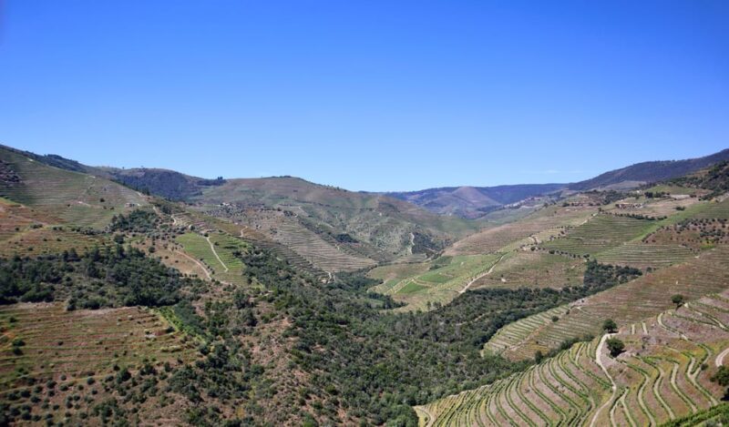 Porto: Douro Valley, 2 Wineries, Lunch & Private Boat Trip - Scenic Boat Ride