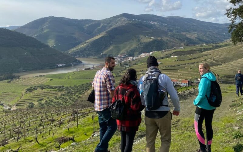 Porto: Douro Valley Hike, Winery Visit and Tasting - Key Points