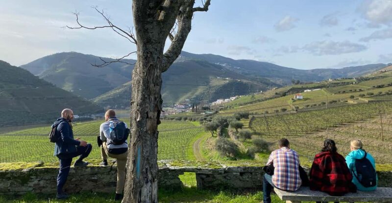 Porto: Douro Valley Hike, Winery Visit and Tasting - Itinerary Details