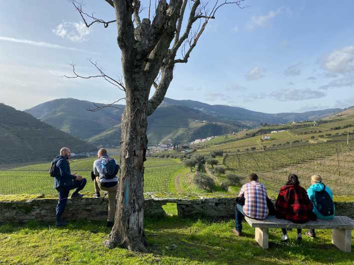 Porto: Douro Valley Hike, Winery Visit and Tasting - Hiking Information