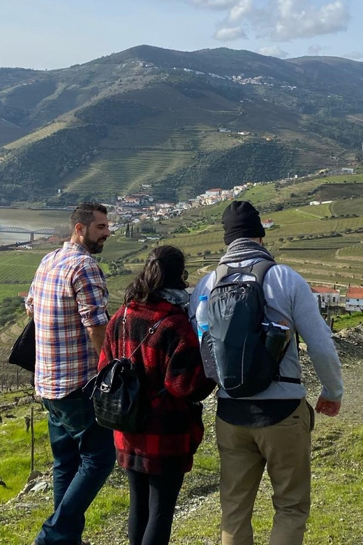 Porto: Douro Valley Hike, Winery Visit and Tasting - Included Features