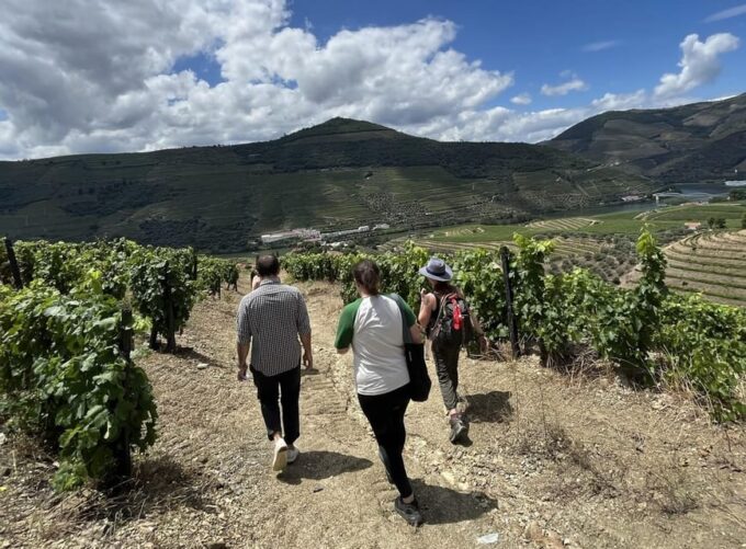 Porto: Douro Valley Hike, Winery Visit and Tasting - Cancellation Policy
