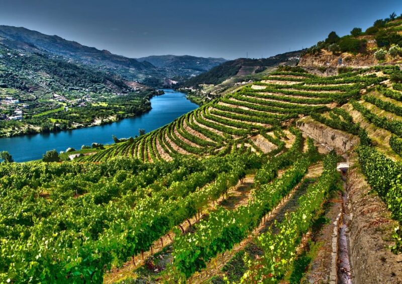 Porto/Douro Valley: Private Day Tour Departing From Porto - Exclusions