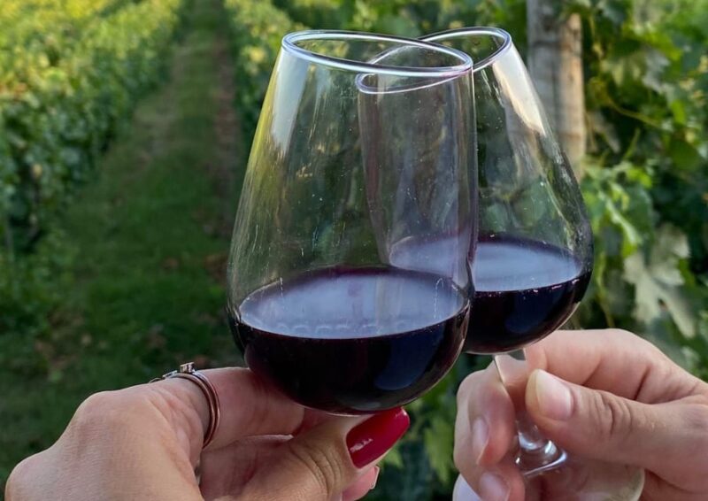 Porto/Douro Valley: Private Day Tour Departing From Porto - Breathtaking Landscapes